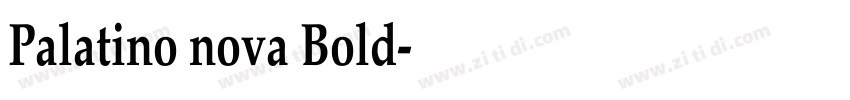 Palatino nova Bold字体转换 Palatino nova Bold字体转换